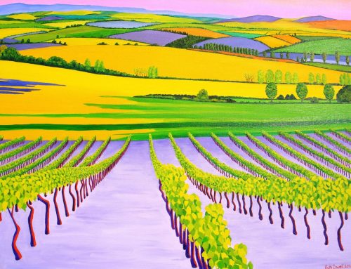 A-Vineyard-and-the-Plain-Beyond