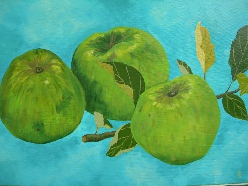 Bramley-Apples-