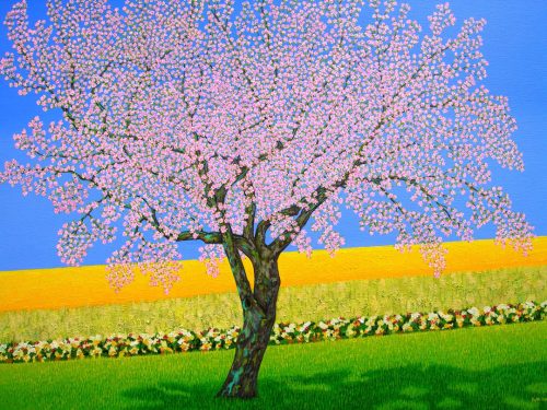 Eves-Delight-in-Spring