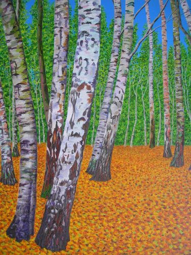 Silver-Birch-Wood