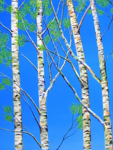 Silver-Birch-in-Spring-