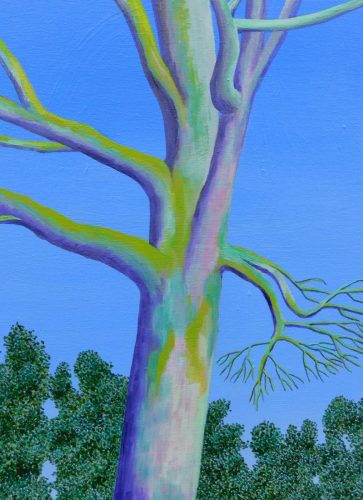 Old Oak Tree