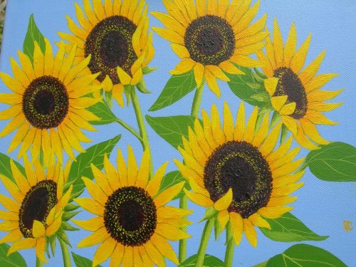 sunflowers